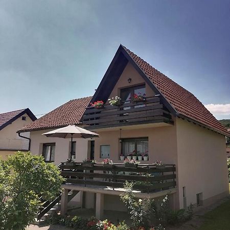Putnicka Kuca Kod Dragane Hotel Bajina Basta Exterior foto