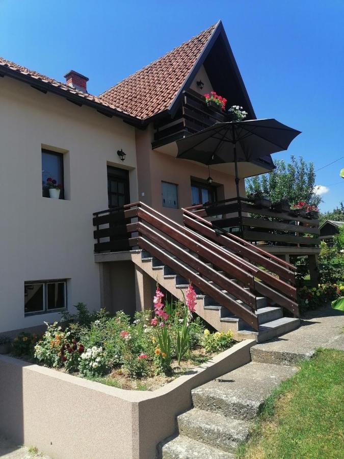 Putnicka Kuca Kod Dragane Hotel Bajina Basta Exterior foto