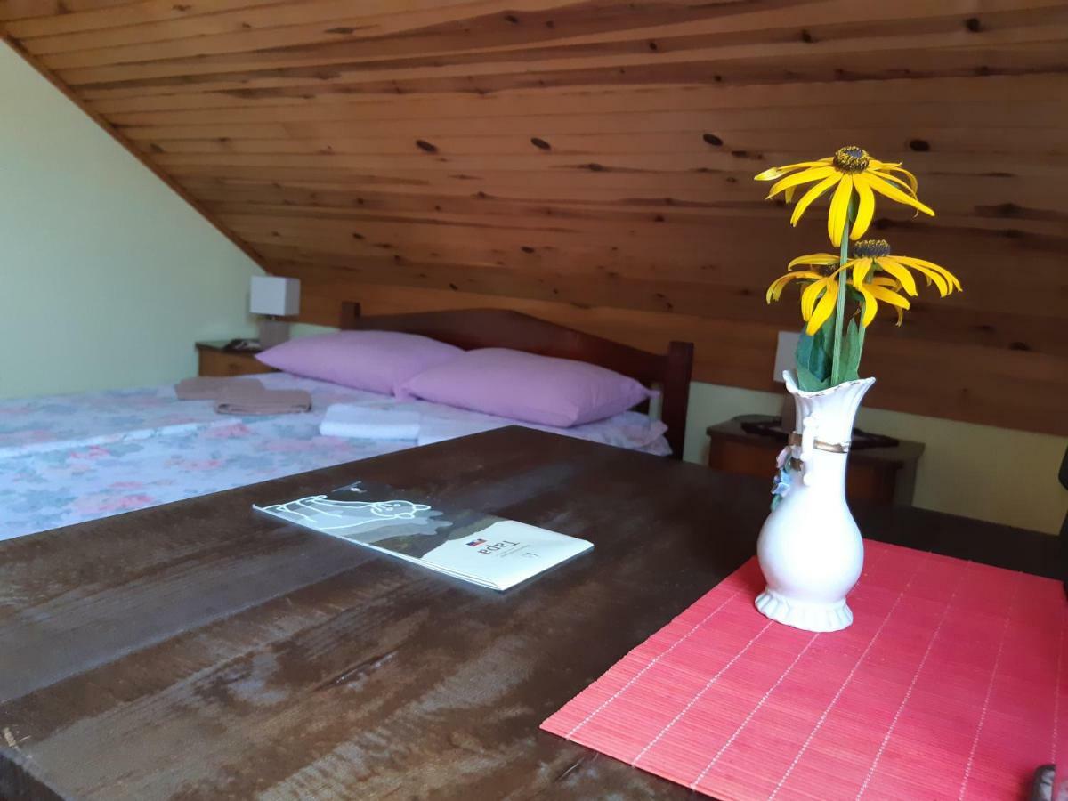 Putnicka Kuca Kod Dragane Hotel Bajina Basta Exterior foto