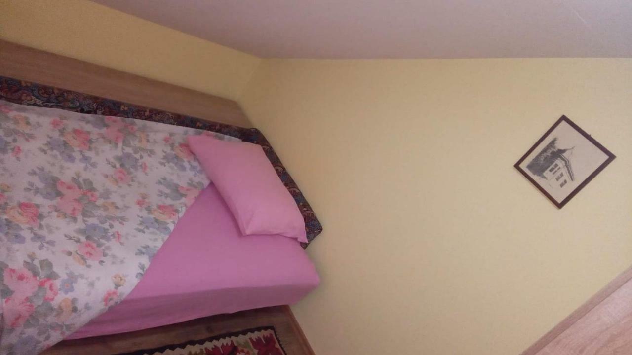 Putnicka Kuca Kod Dragane Hotel Bajina Basta Exterior foto
